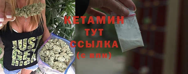 эйфоретик Няндома