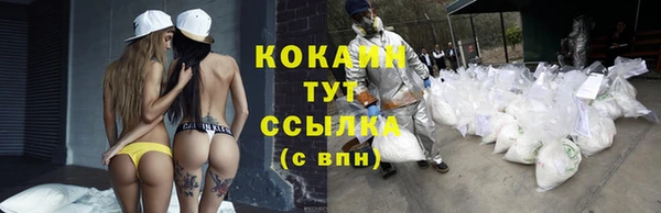 ALPHA PVP Нягань