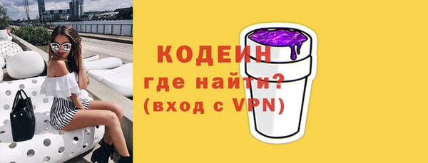 эйфоретик Няндома
