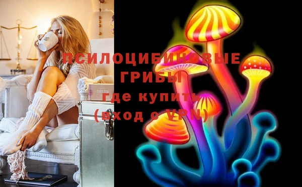 стаф Нязепетровск