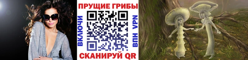 Купить  Кедровый  Псилоцибиновые грибы Cubensis 